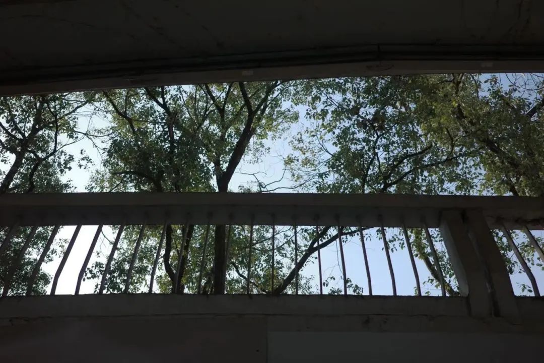 DƬ